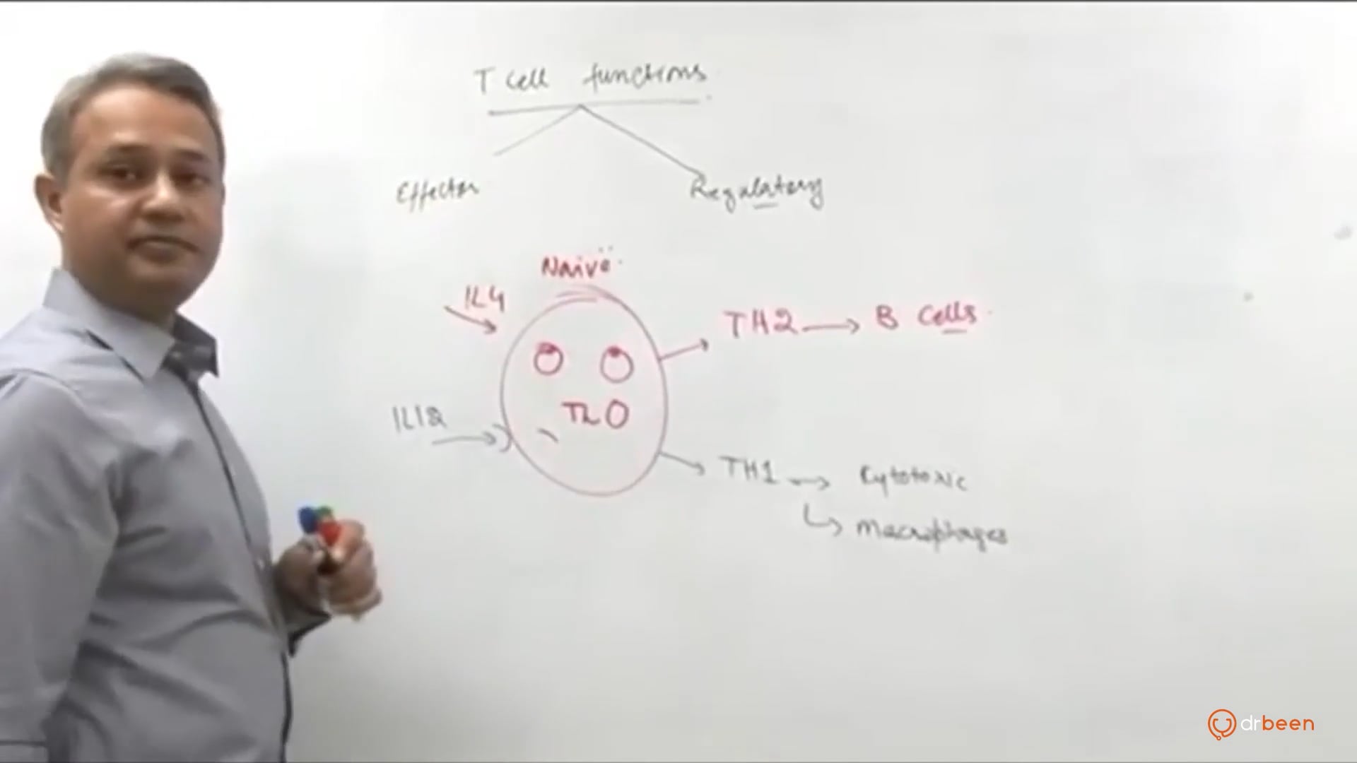 T Cell Functions