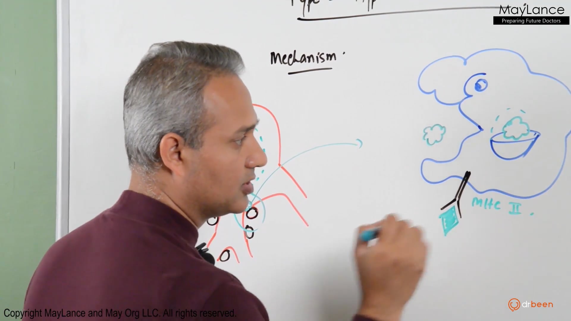 Type 1 Hypersensitivity Reactions - Allergies (Urdu-Hindi)