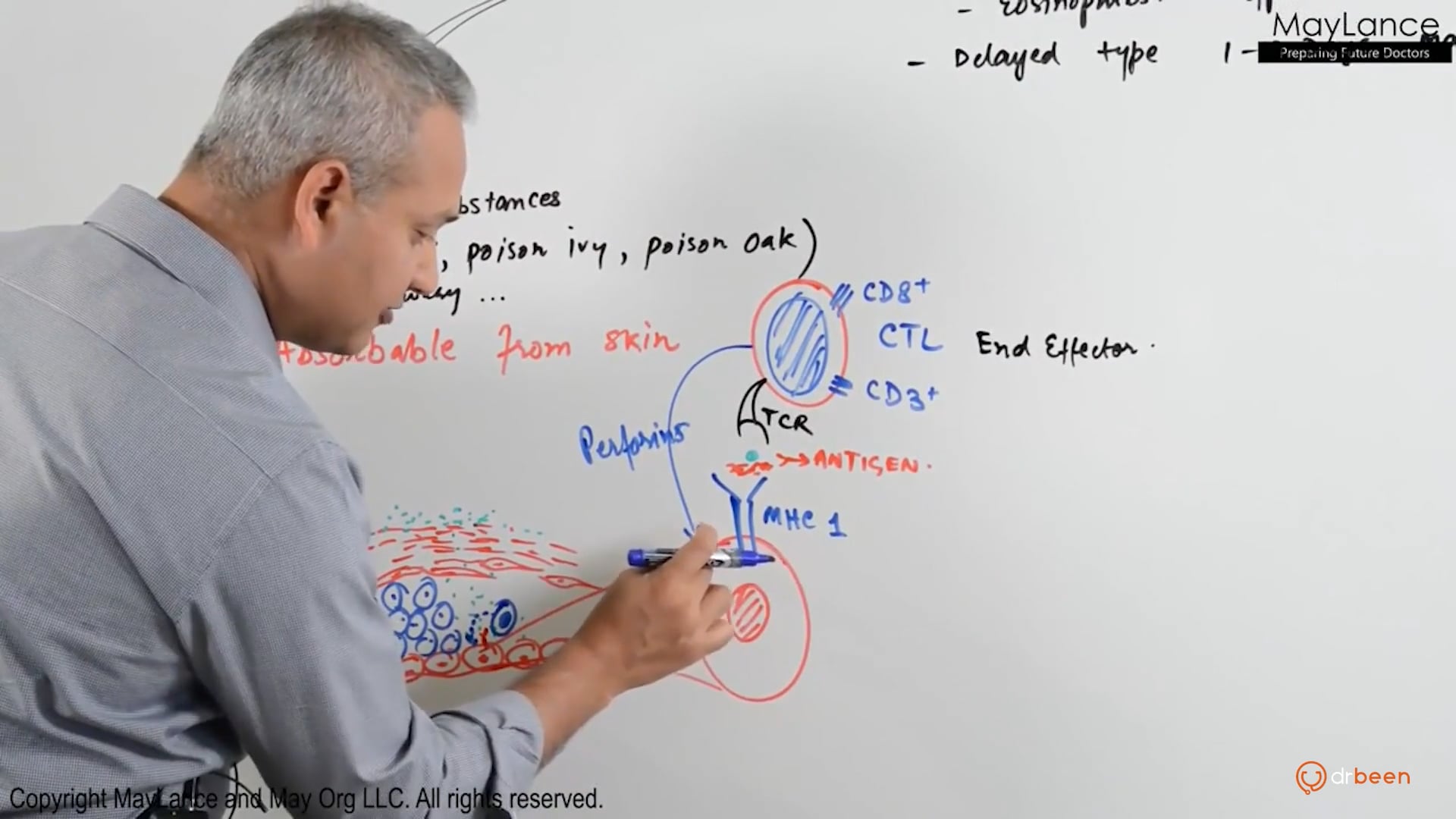 Type IV Hypersensitivity Reactions