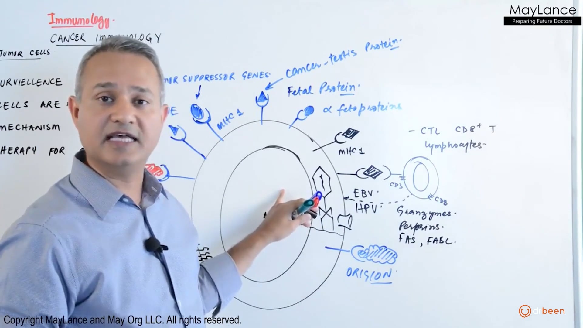 Tumor Immunity 
