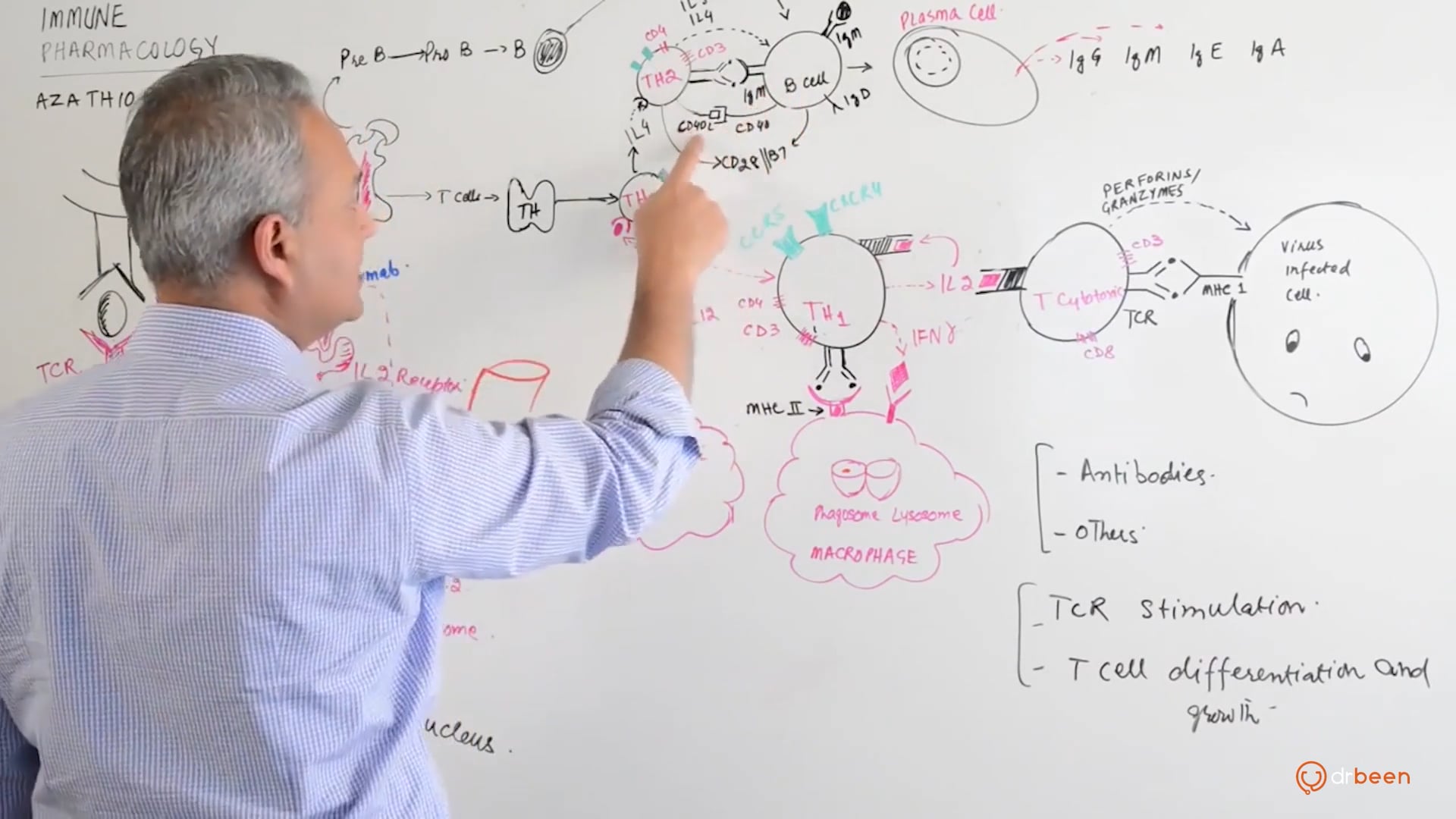 Immune Pharmacology