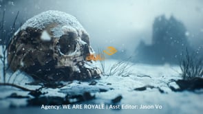 Related Embedded Video Item Thumbnail