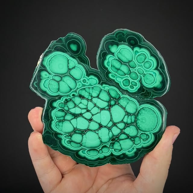 Malachite (polished "Mickey Mouse" slice)