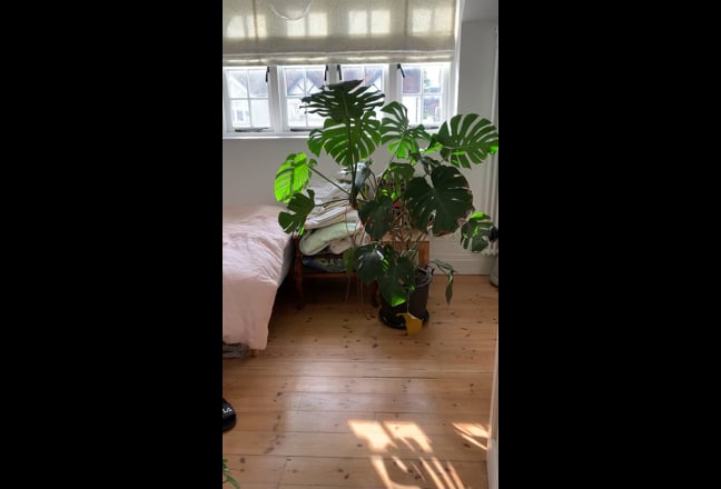 Video 1: