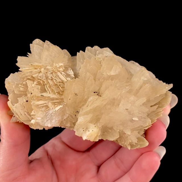 Colemanite (fine crystals)