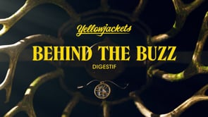 B22-44469 YJK2 EC BEHIND THE BUZZ 203 EVERGREEN v2