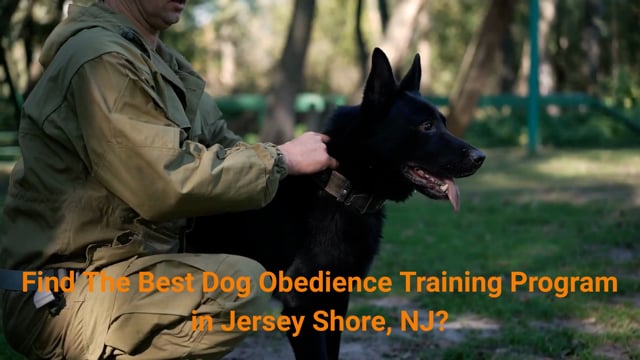 Jersey Shore Canine, LLC. - #1 Dog Obedience Training in Jersey Shore