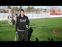 Preview Video #1