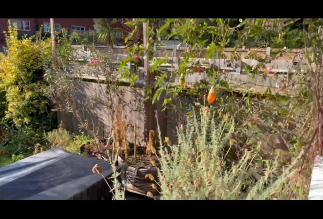 One room in beautiful house in Stoke Newington Main Photo