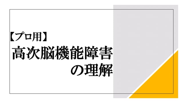 【プロ用】高次脳機能障害の理解