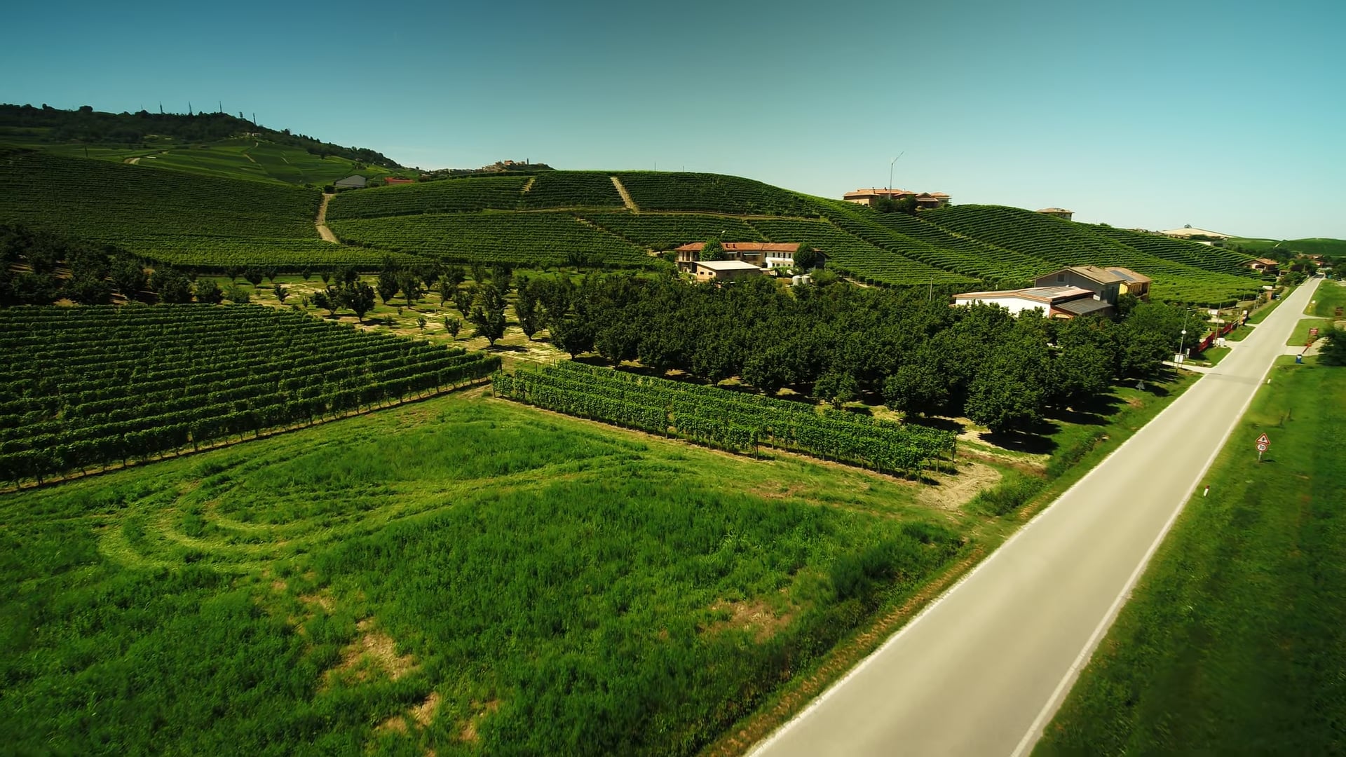 Vigneto Cannubi Boschis 2024
