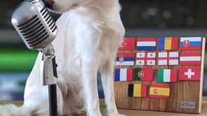 SPORTWAU 4: Deutschland vs Dänemark