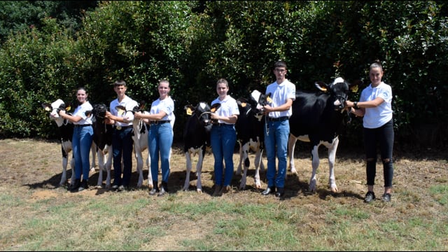 Equipo galego, en el Young Breeders School