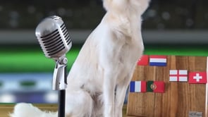 SPORTWAU 5: Viertelfinale Spanien gegen Deutschland