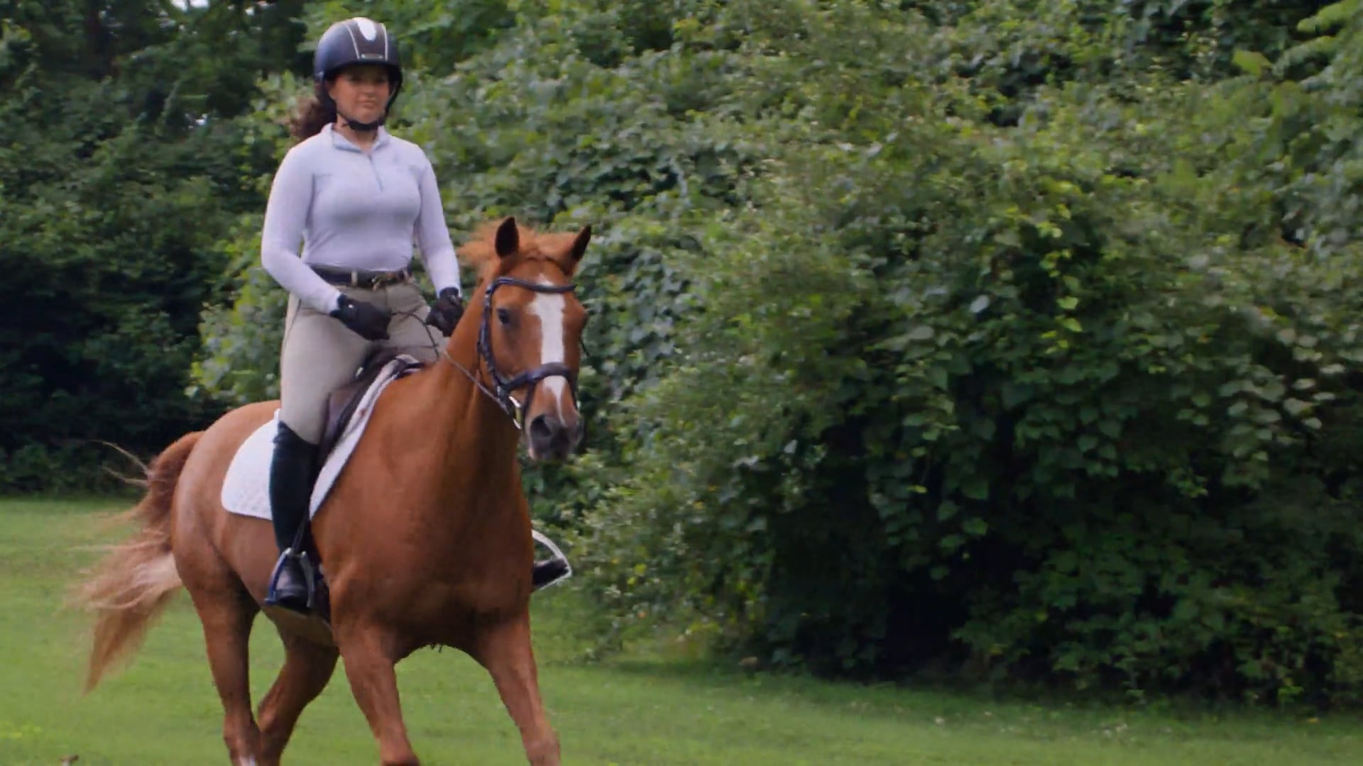 Vetana Equine Clinical Study