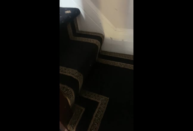 Video 1: