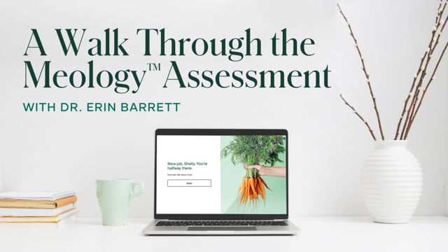 A Walk Through the Meology Assessment