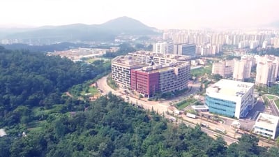 1. 경력10년, 촬..