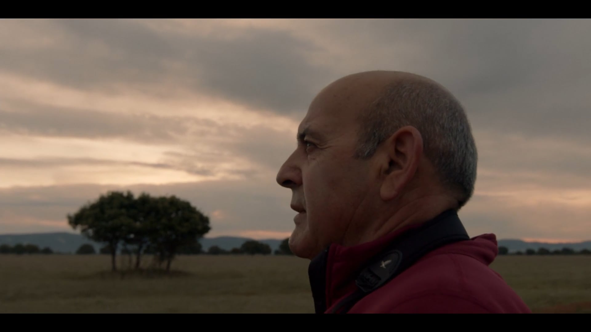 Historias de entreparques - Documentary