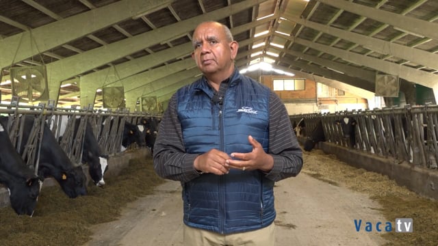 “Un líder es aquel que no tiene problema en ayudar a sus compañeros en cualquier tipo de situación”