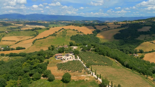 Country house with vineyards and olive groves