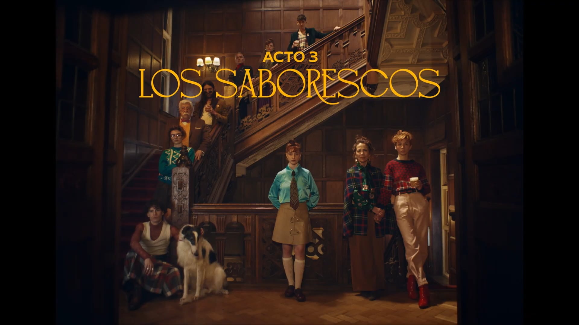 Stella Artois - Blanc