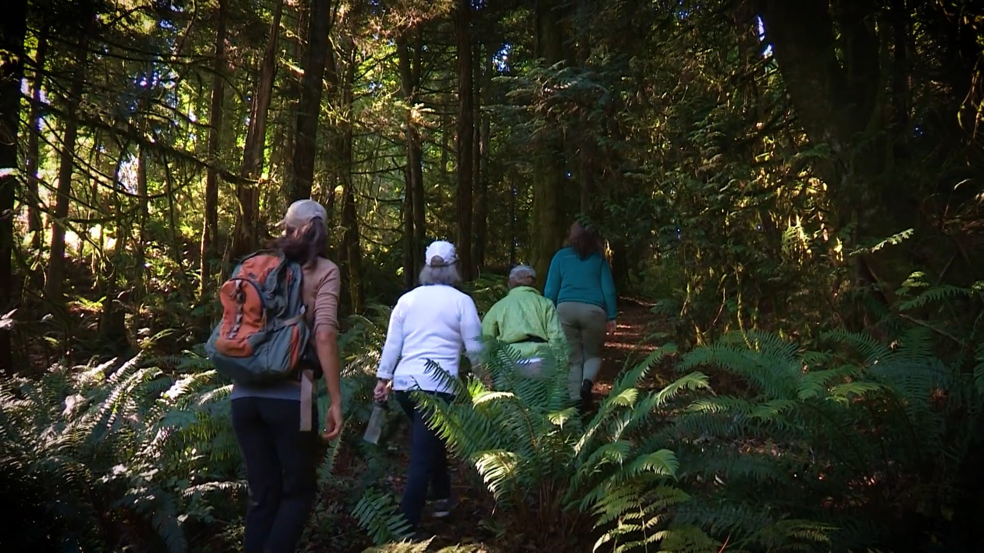 Parks & Trails Foundation