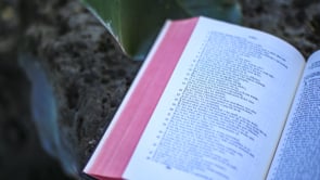 The Hawaiian Language and Why It's So Important. Hawaii Culture Series
