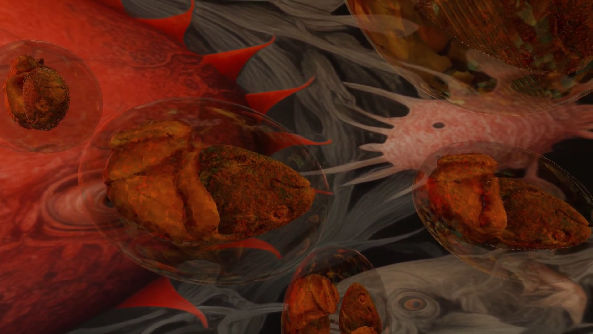 Lisa Moro – MA Fine Art