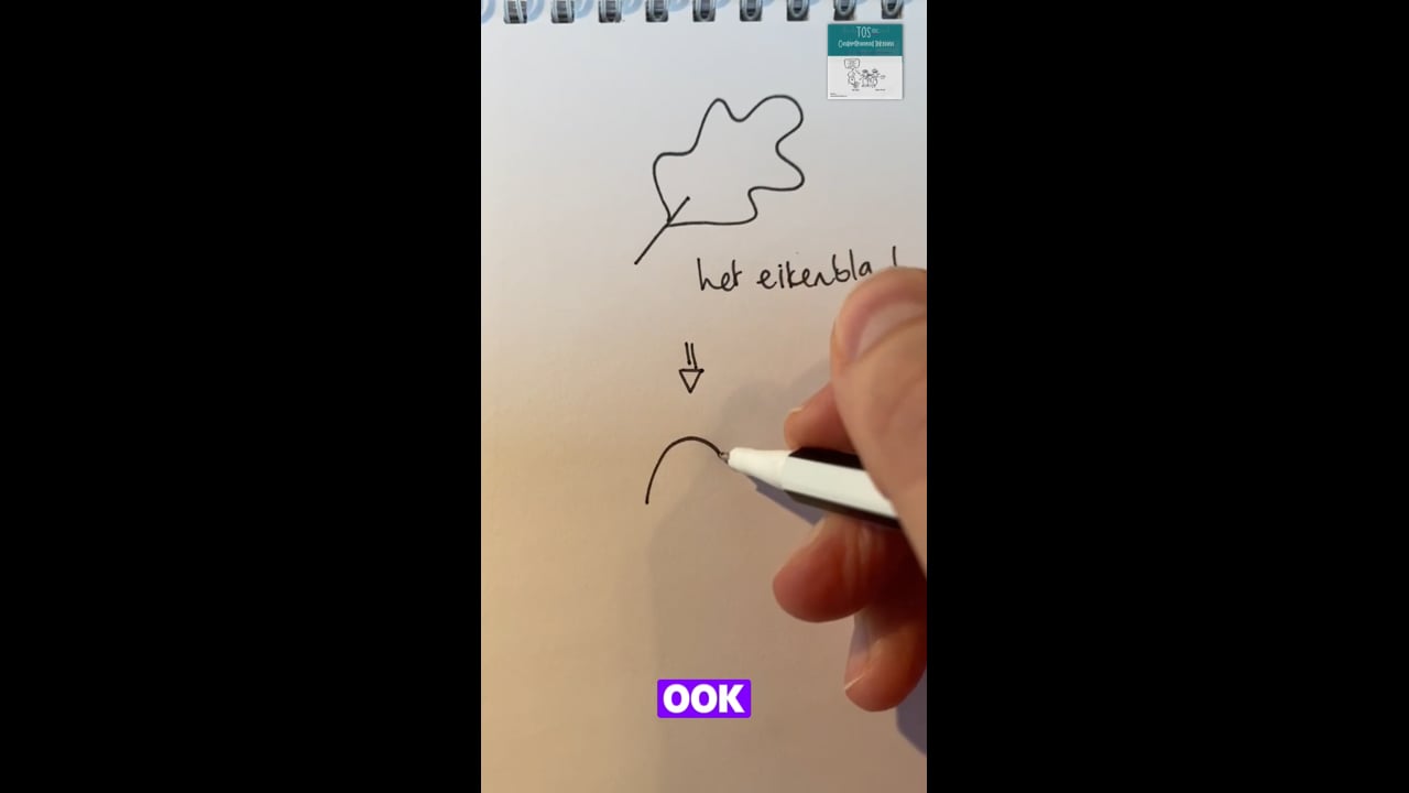 Eikenblad (het)*, de eikel, de eekhoorn