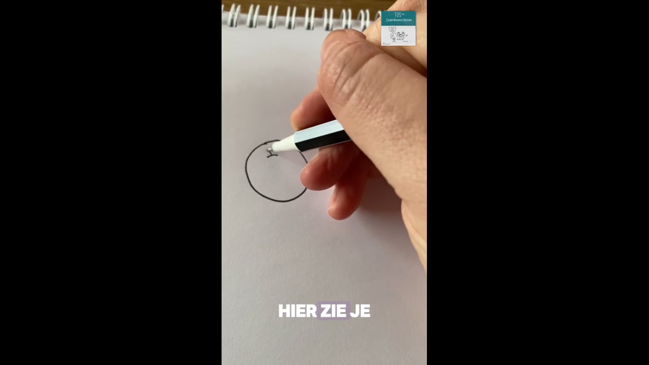 Perzik (de), de nectarine, de abrikoos*