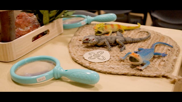 Big Bear Academy North Rocks video thumbnail 17