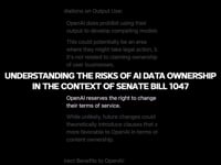 Understanding the Risks of AI Data Ownership in the Context of Senate Bill 1047