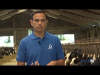 “Hemos reducido el uso de hormonas, nos anticipamos a los problemas antes de que se manifiesten y ahorramos mucho tiempo de trabajo”