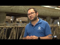 “Tratamos a los animales antes, los recuperamos más rápido, hay menos pérdidas de leche y racionalizamos el uso de antibióticos en las granjas”