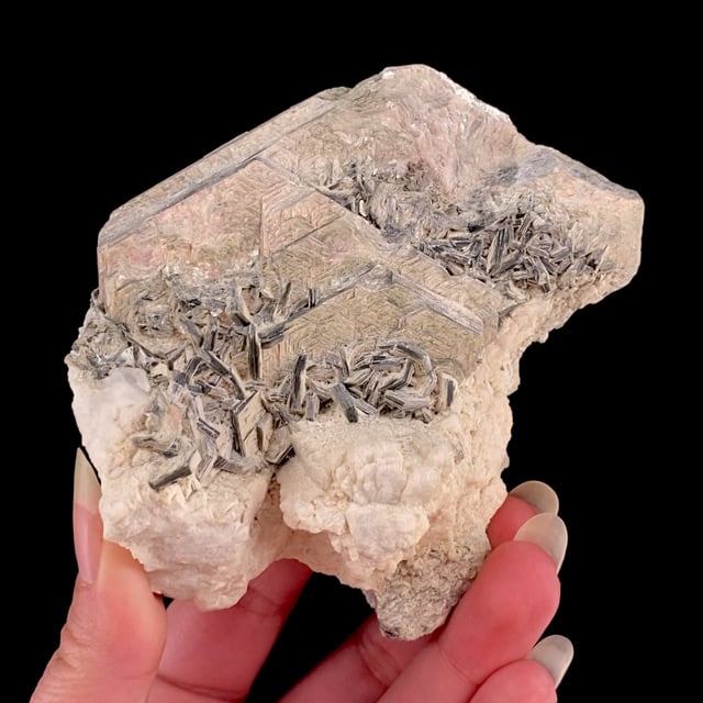 Muscovite (large crystal) on Albite