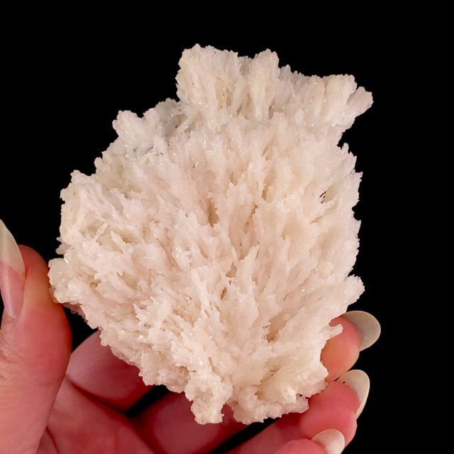 Calcite (Manganese-bearing) (classic locality)