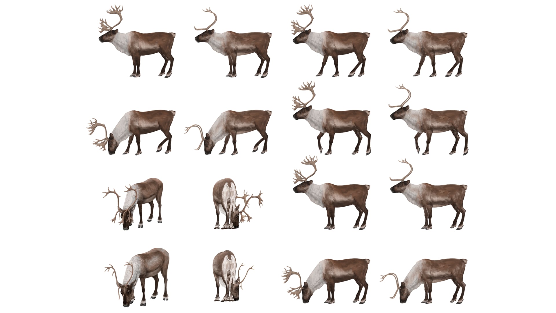 Hunt, the Herd Elements