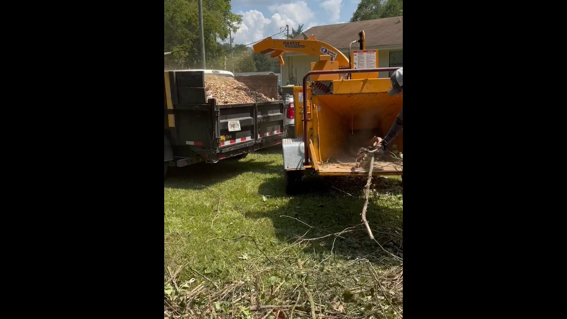 Happy Valley Tree Care and Removal work site