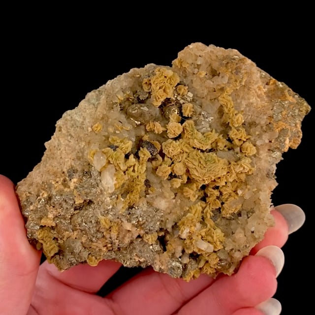 Siderite with Pyrite on Quartz