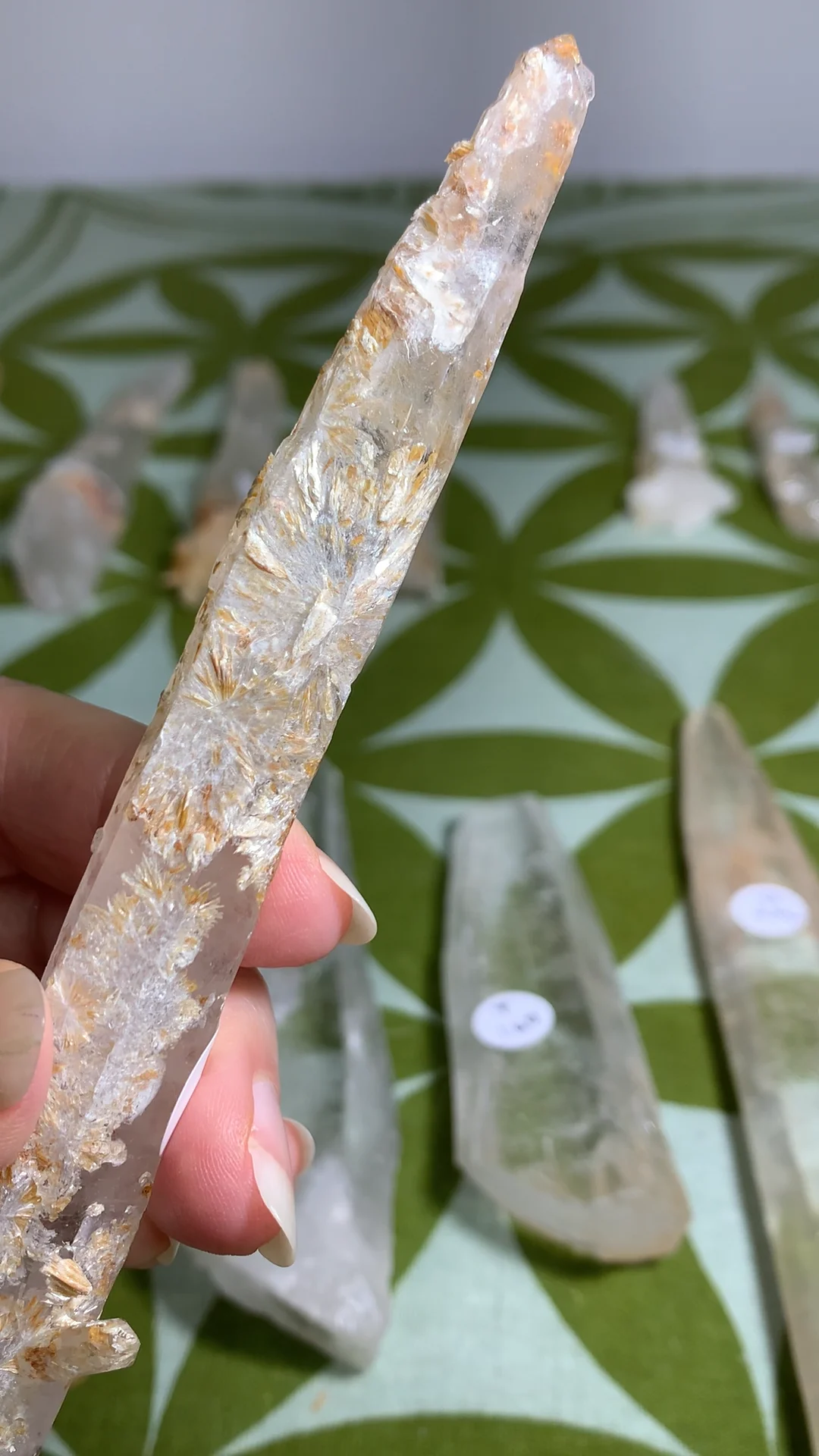 Small Leilani Lemurians-Video Sale – The Lemurian Rose