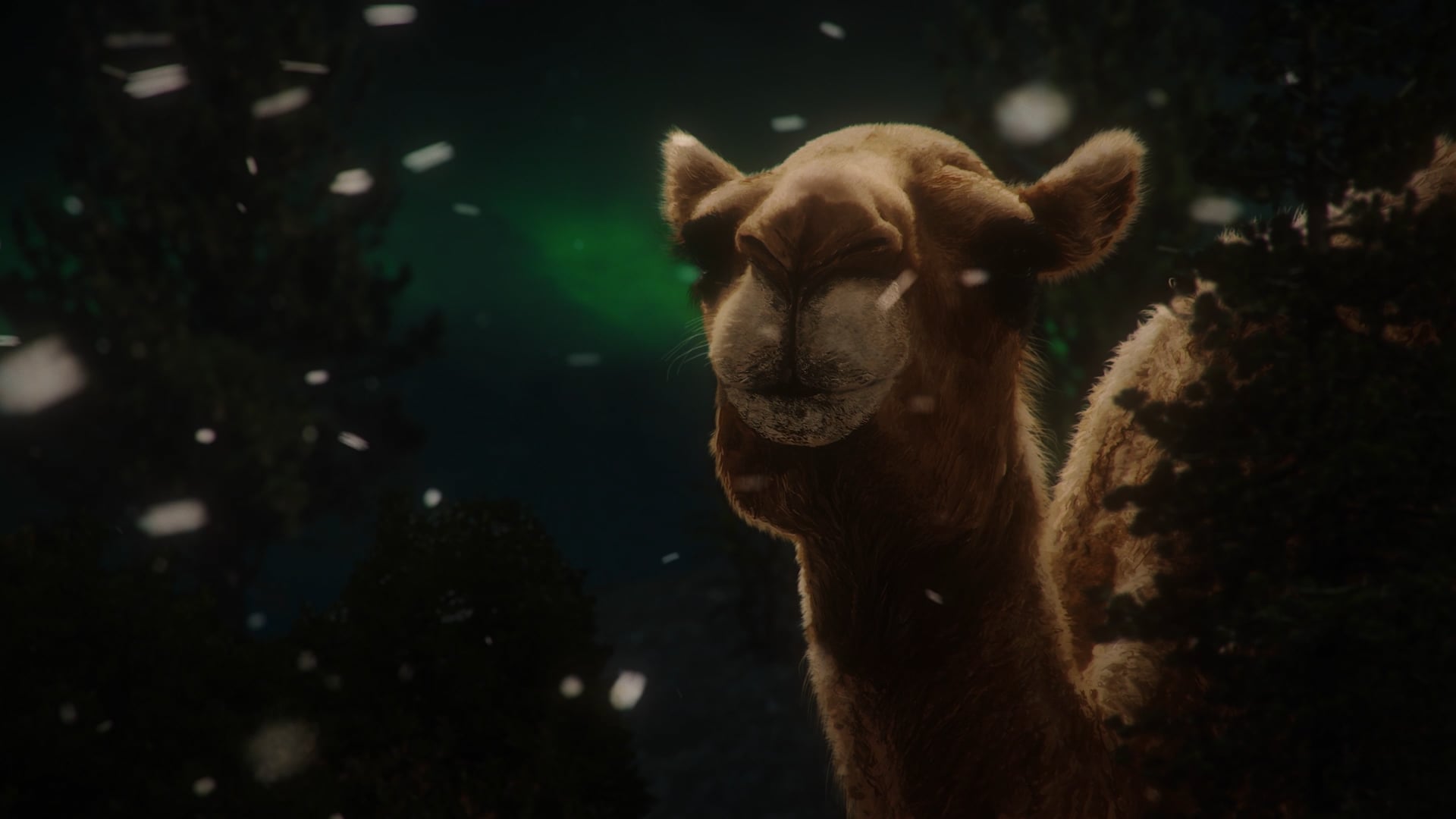 Hunt For The Oldest DNA