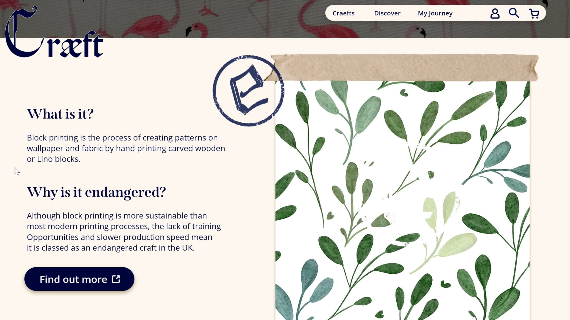 Holly Oxley – Visual Communication