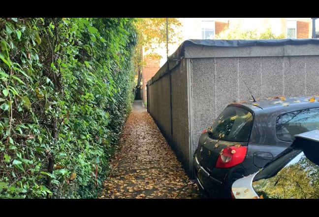 Video 1: 