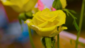 social header