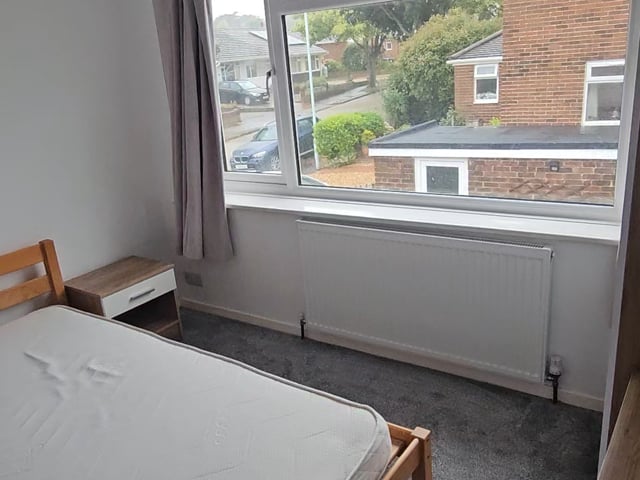 Double Room in Newly Renovated House Main Photo