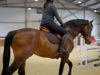 Jennifer Keister (Voiceover) - The Perfect Fit (British)