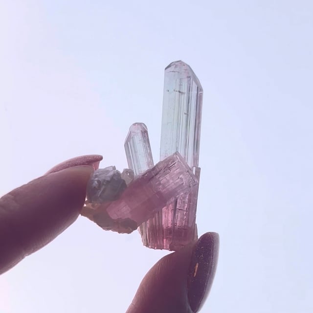 Tourmaline Crystal - Araçuai mine, Minas Gerais, shops Brazil