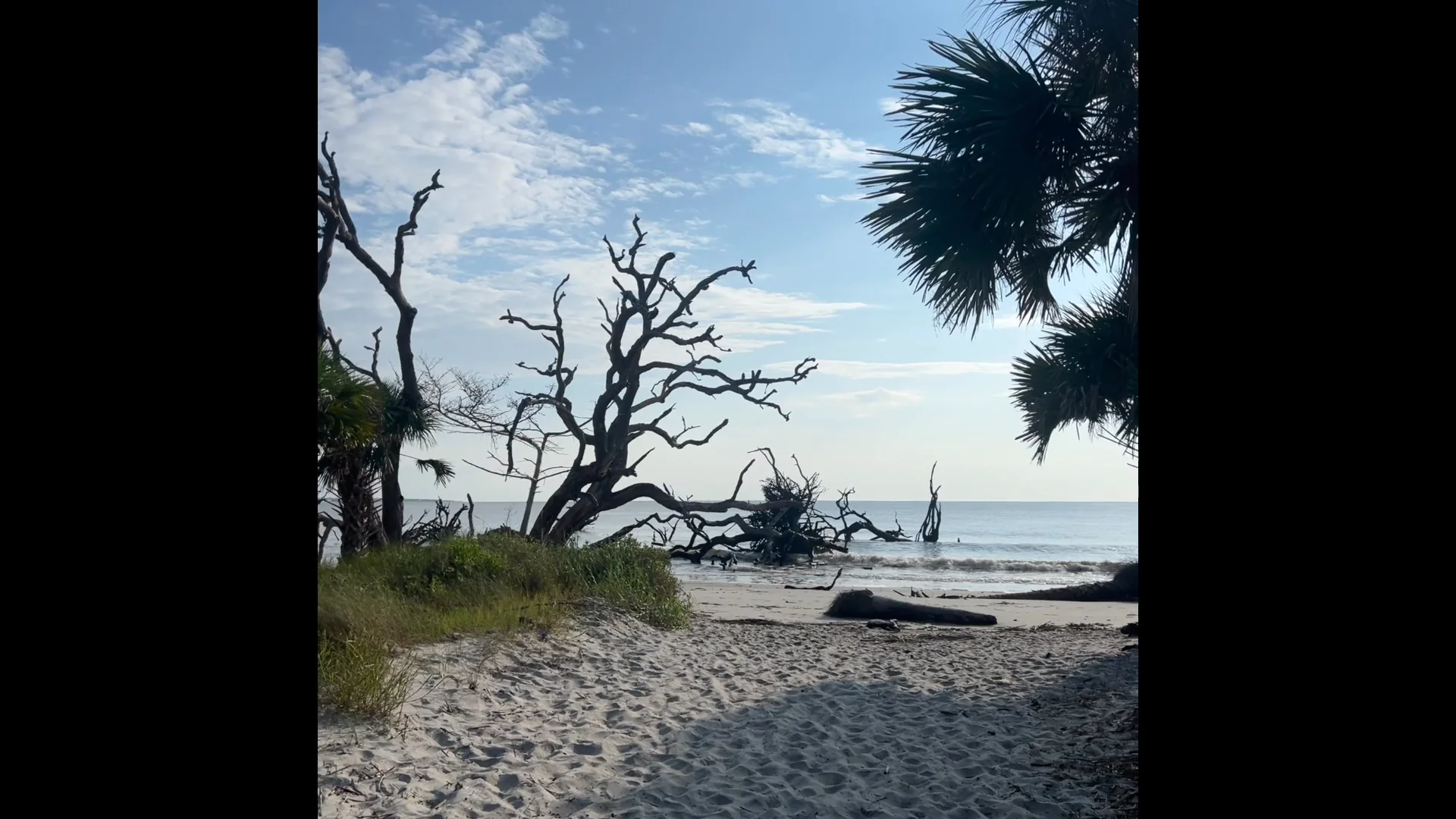 Notice of Proposed RuleMaking (NPRM), image size:1920x1080