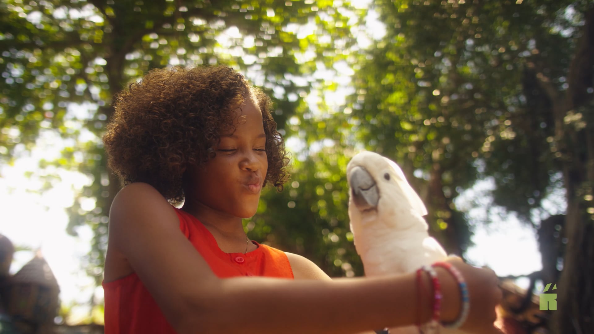 Assuria "Solido i Sigur" Commercial